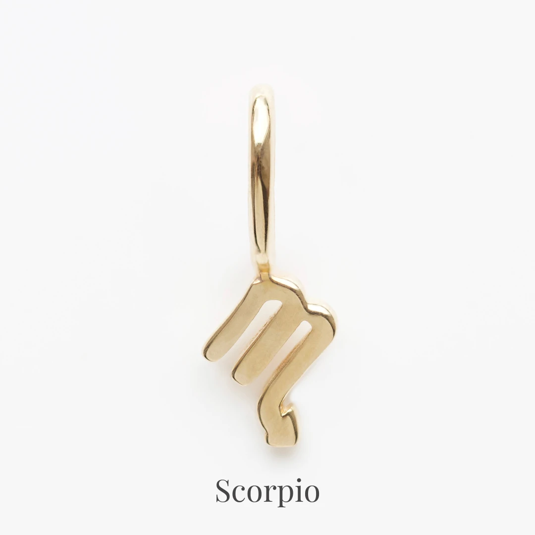 Zodiac Charm 20 Zodiac Charm - Image 20