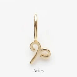 Zodiac Charm 32 Zodiac Charm -Carrie Elizabeth 3 1bcaefcb d253 4df8 ad91 8ad908759c86