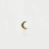 Crescent Moon Single Earring