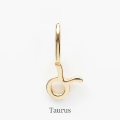 Zodiac Charm 33 Zodiac Charm -Carrie Elizabeth 4 20695645 cd5a 4caf 9d55 7a3955ac5ad9