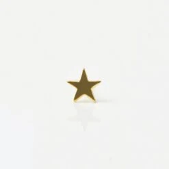Star Earring