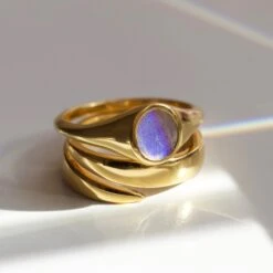 Anita Rani Shakti Flow Ring 15 Anita Rani Shakti Flow Ring -Carrie Elizabeth 9F5EF33F 216C 41CB ADC5 B134D3606BA1