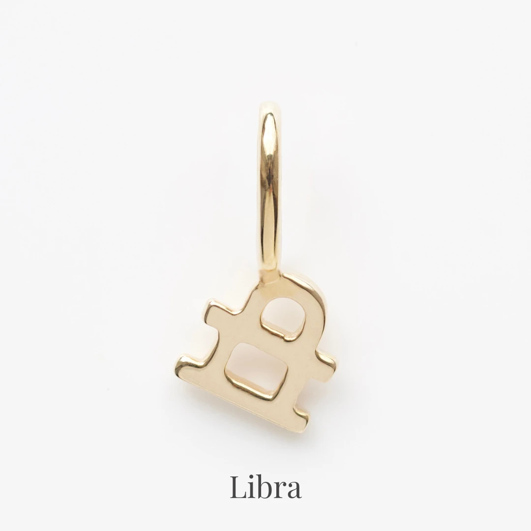 Zodiac Charm 19 Zodiac Charm - Image 19