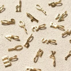 Initial Charm -Carrie Elizabeth A9EA7BB4 42EA 4669 9BDF 04359781A79E