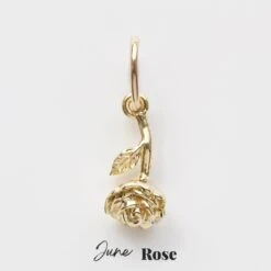 Birth Flower Charm 39 Birth Flower Charm -Carrie Elizabeth CarrieElizabeth9KSolidGoldBirthFlowerCharmsJuneRose