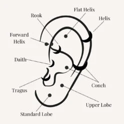 Shining Star Flat Back Earring -Carrie Elizabeth CarrieElizabethEarPiercingGuide 5816006c 5b12 4313 b1c9 ce3ee4a0b079