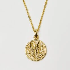 Horoscope Zodiac Engravable Coin Necklace -Carrie Elizabeth HoroscopeZodiacPendantNecklaceInGoldVermeil PISCES 590938a7 db0e 4fe2 b045 7196c23c9bf9 scaled