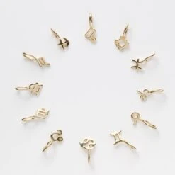 Zodiac Charm 29 Zodiac Charm -Carrie Elizabeth IMG 1333copy2copy8 scaled