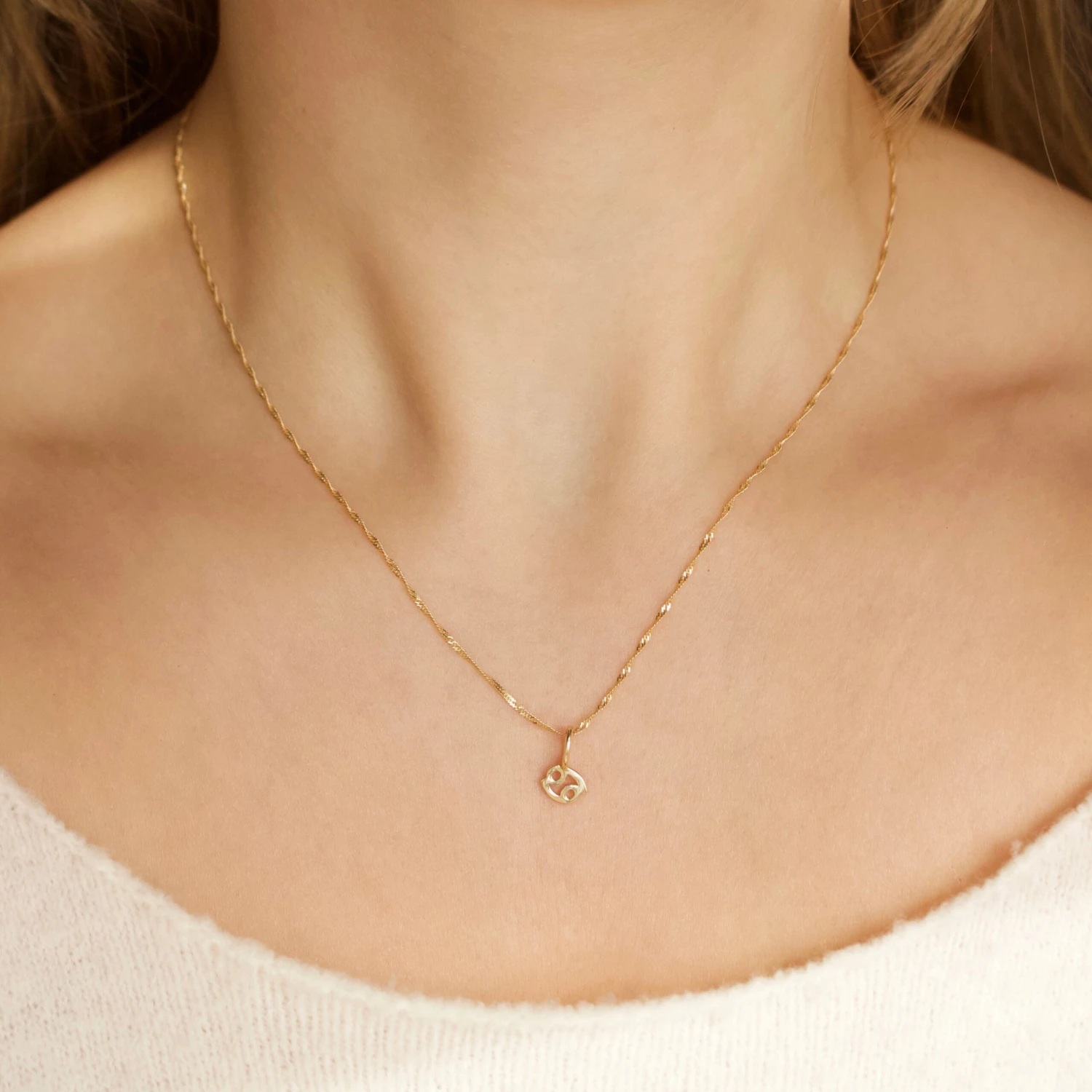 Zodiac Charm 2 Zodiac Charm - Image 2