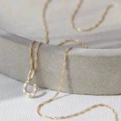 Diamond Horseshoe Charm 14 Diamond Horseshoe Charm -Carrie Elizabeth IMG 8223copy2 scaled